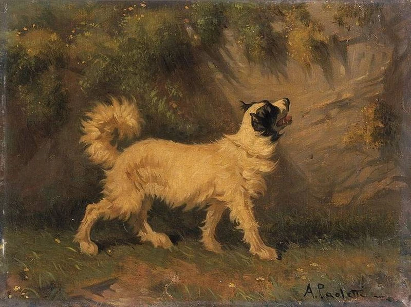 Cane